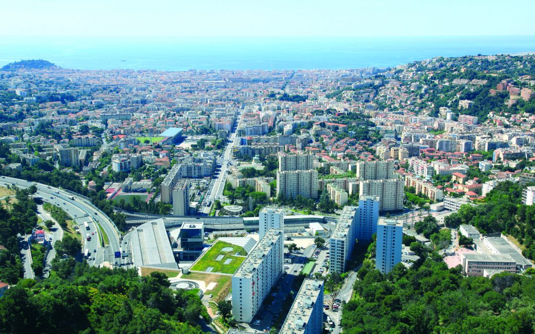 Magazine Cimiez Immobilier – Été 2014