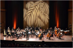 CNRR : Concert des beaux jours