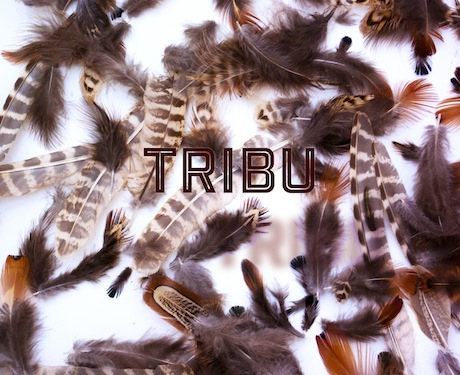 Tribu visuel expo Nice