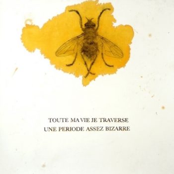 Gérald Panighi à la Villa Caméline