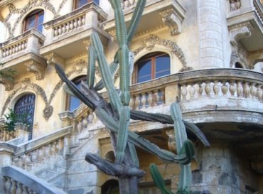 Eve Pietruschi à la Maison abandonnée