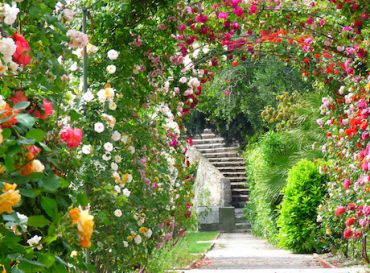 Un « Eco jardin » au Monastère