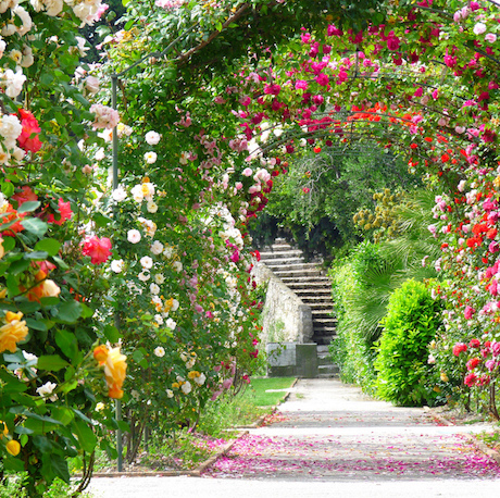 Un « Eco jardin » au Monastère