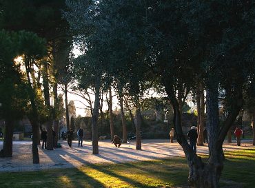 Jardin des Arènes à Cimiez : Nouveaux Aménagements