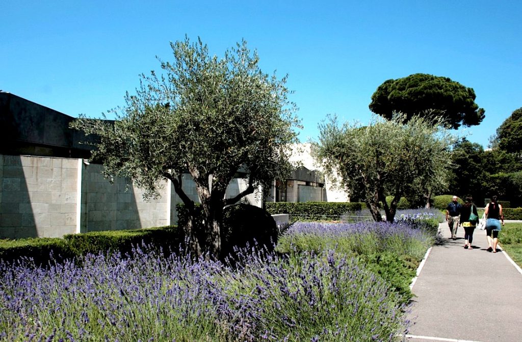 Musée Chagall : Visites accompagnées﻿