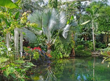 Vacances de Pâques avec le Parc Phoenix