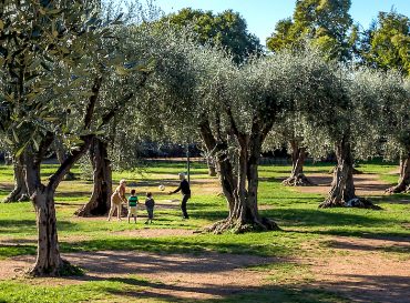 Réouverture du parc des arènes de Cimiez