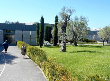 Visites d’été au Musée Chagall