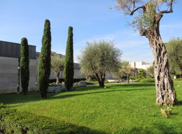 Musée Chagall : Visites créatives en famille