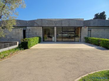 Conférence au Musée Chagall