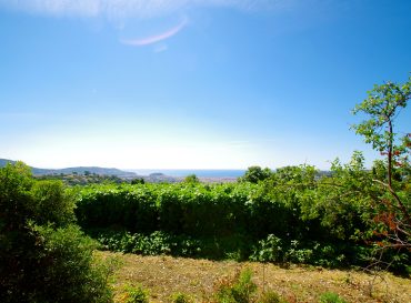 Hauts de Nice : un territoire vivant, entre passé prestigieux et futur ambitieux