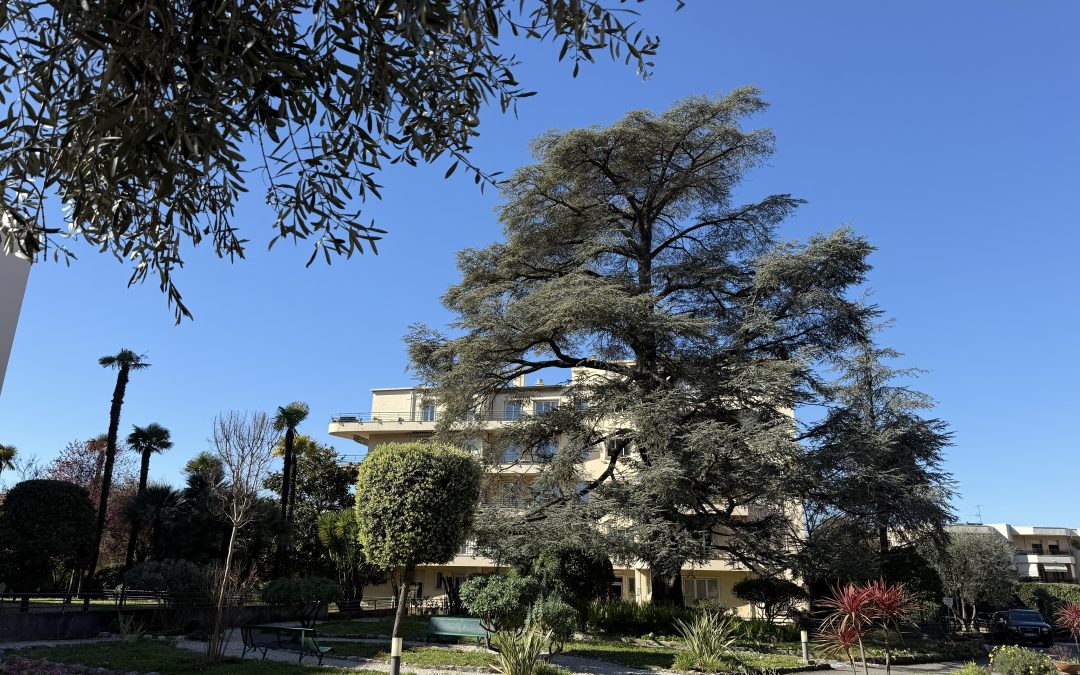 Du Château Saint-Maur aux Résidences du Parc : L’Histoire d’un Domaine