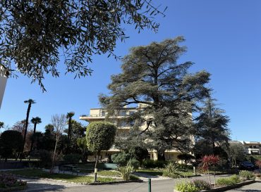 Du Château Saint-Maur aux Résidences du Parc : L’Histoire d’un Domaine
