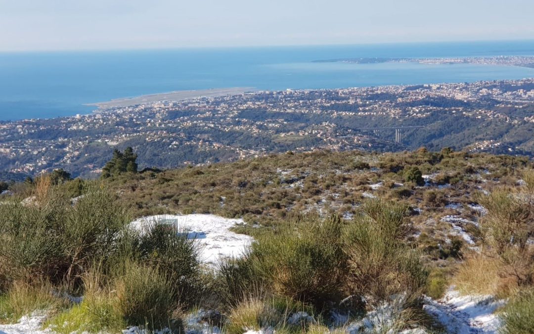 Trail de la Ratapignata – 7ᵉ Édition à Falicon   Dimanche 19 octobre 2025