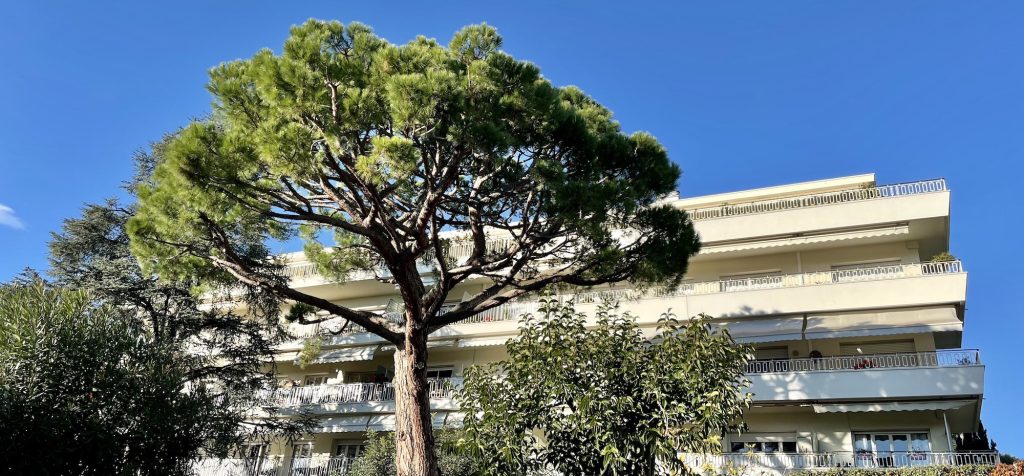 residence oasis-cimiez-nice Cimiez Boulevard