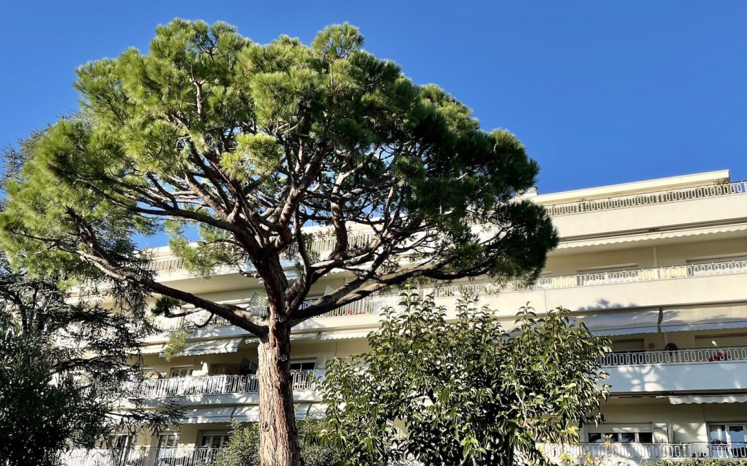 Villa Durandy – de « La Feuillée » à « l’Oasis »