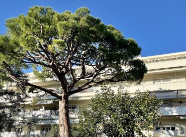 Villa Durandy – de « La Feuillée » à « l’Oasis »