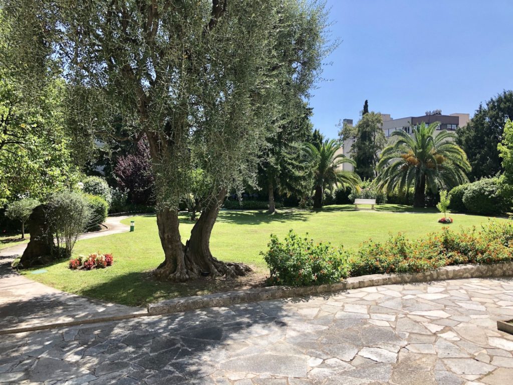 Le Senlis Cimiez immobilier achat appartement le senlis